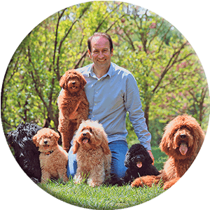 Man with dogs and puppies in the park round image