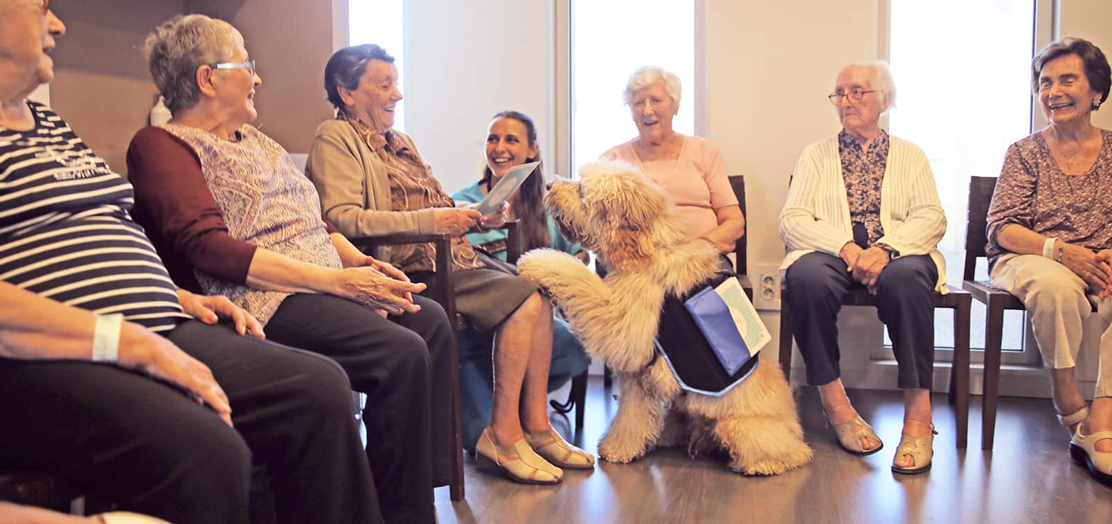 therapy dog pawing with elderly and therapist