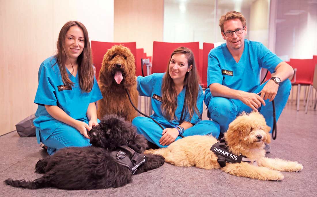 therapy dogs and dog assisted therapy technicians