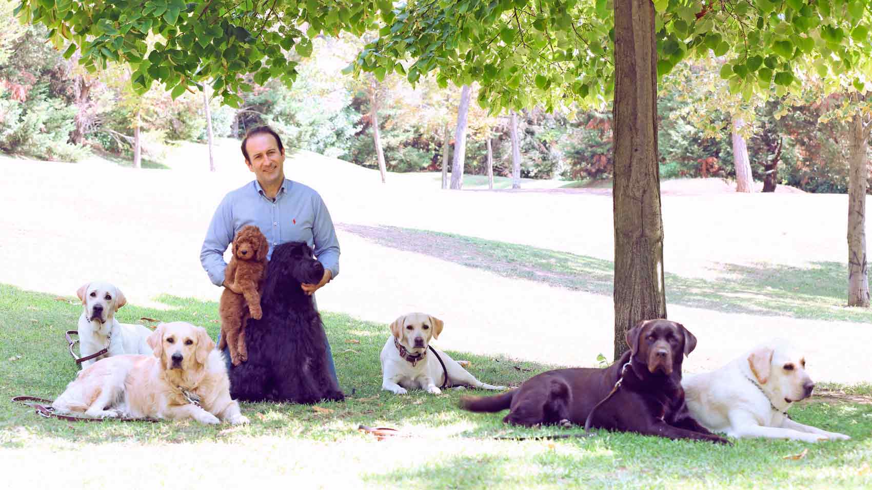 Man surrounded by dogs in the park