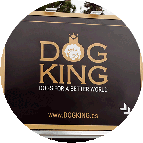 DOGKING poster, round image