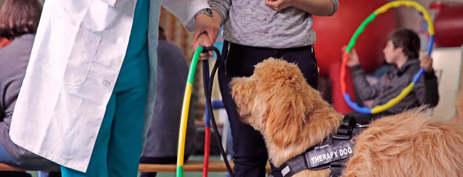 therapy dog with user and technician in assisted therapy with dogs