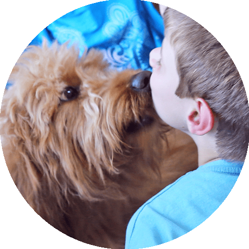 dog licking a child, round photo