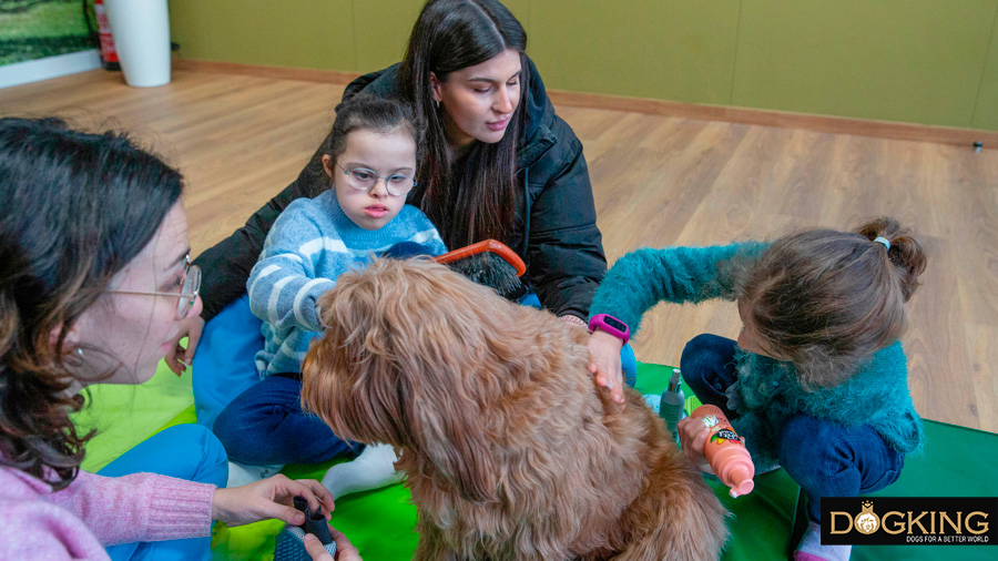 Children touching the soft coat of an Australian Cobberdog.