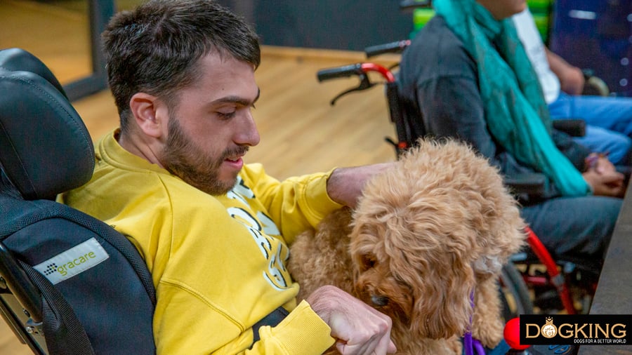 Assistance dog with his master