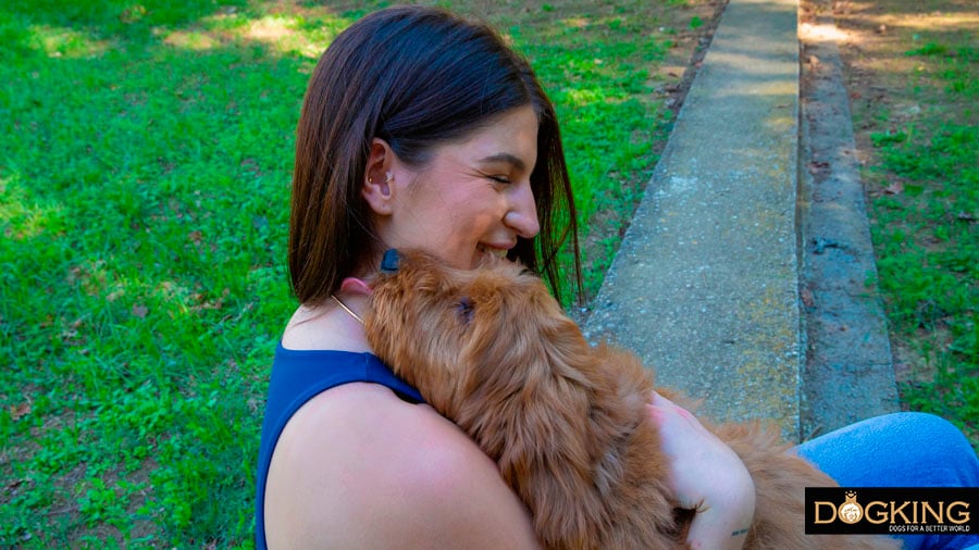 Person receiving cuddles from their dog 