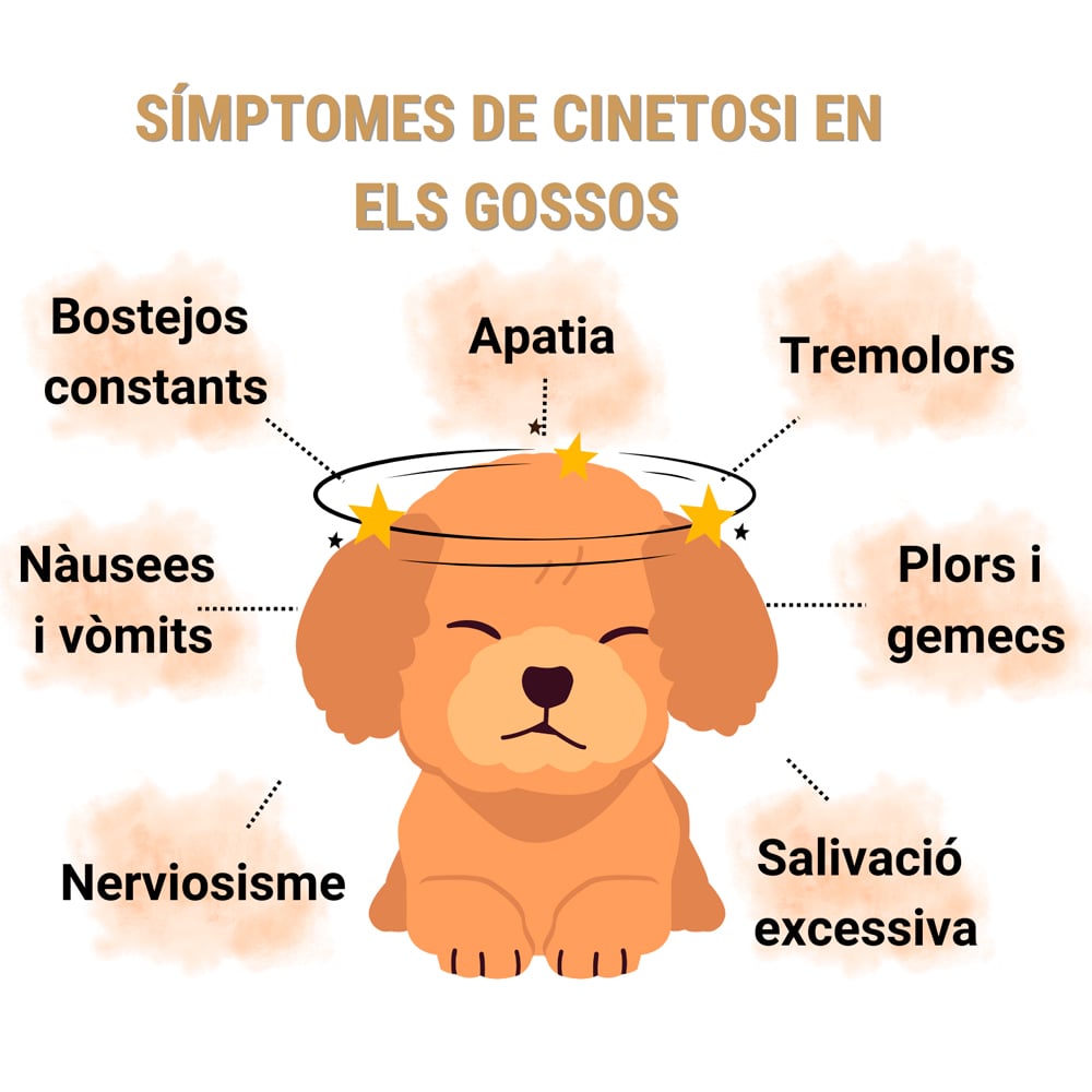 Símptomes de cinetosis en els gossos