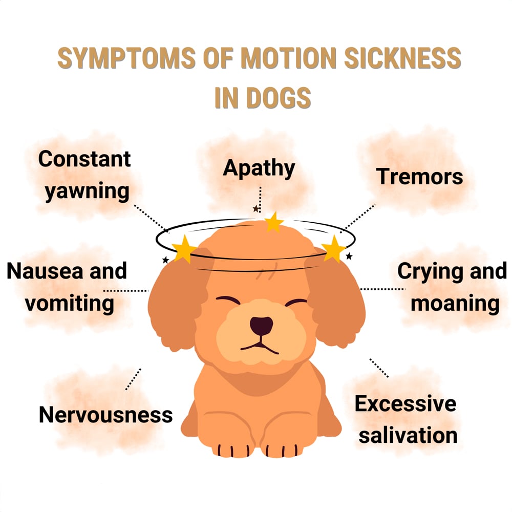 Symptoms of motion sickness in dogs