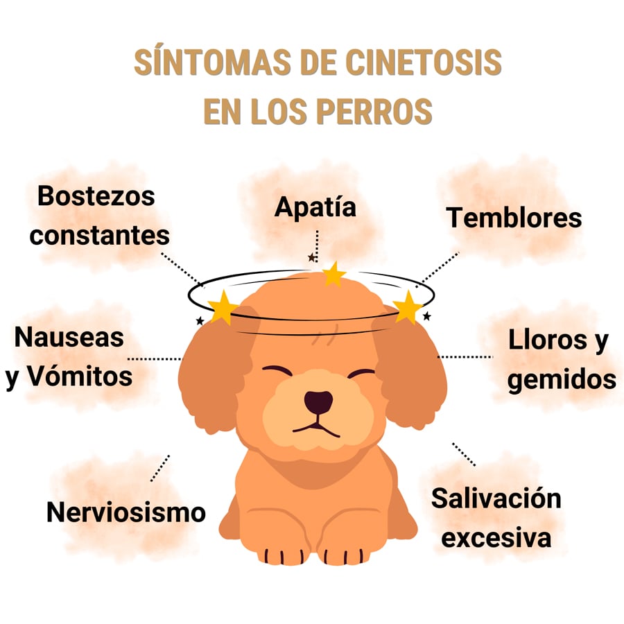 Síntomas de cinetosis en los perros