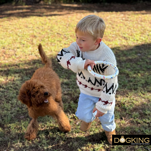 Bambino che gioca con il suo cucciolo