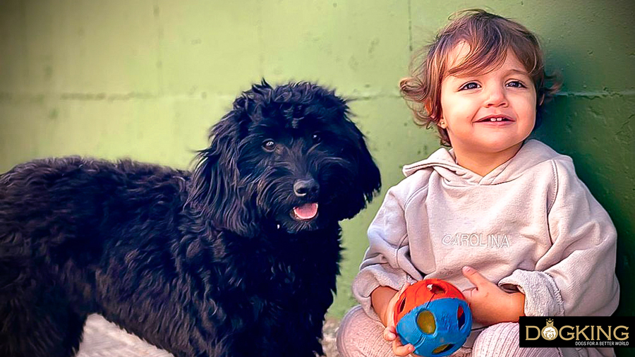 Garçon jouant à la balle avec son chiot