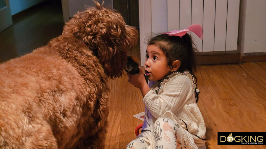 Bambina e cane che giocano a nascondino