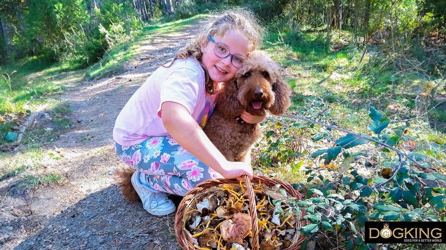 Ein Mädchen spielt mit ihrem Hund auf dem Land