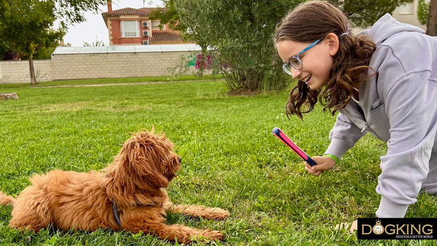 Niño adiestrando a su perro en casa 