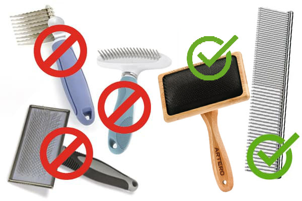 Outils de toilettage pour chiens